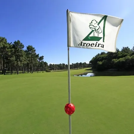 Bravo Aroeira (Setubal)